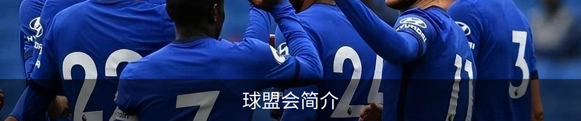 球盟会简介