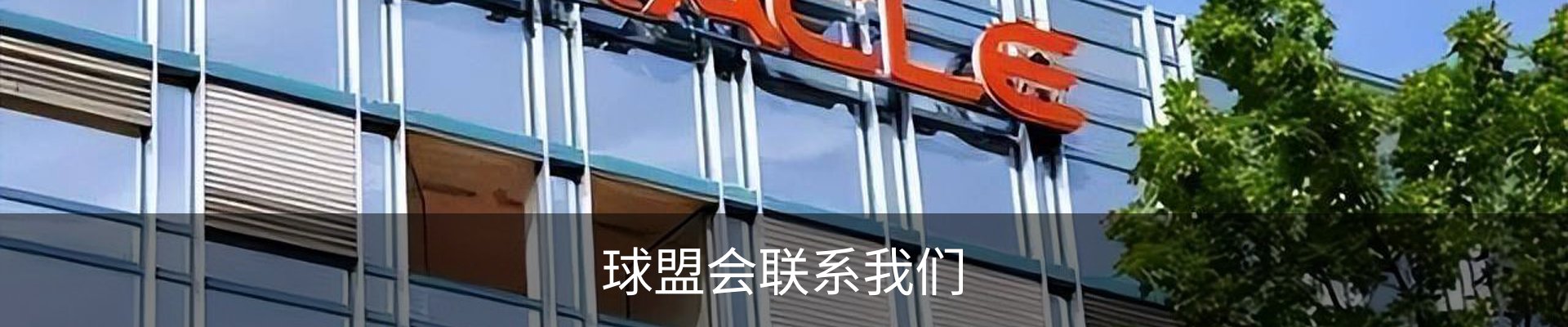 球盟会联系我们